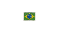 brazil flag patch