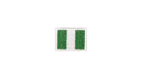 Nigeria flag patch