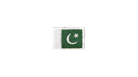Pakistan flag patch