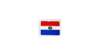 Paraguay flag patch