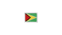 Guyana flag patch