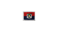 Haiti flag patch