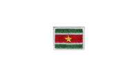Suriname flag patch