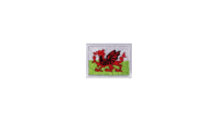 Wales Flag Patch